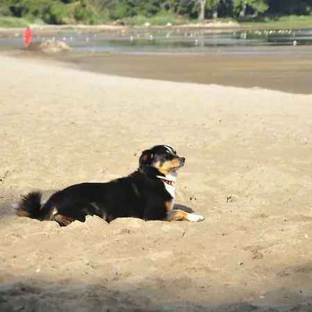 Hotel - Urlaub An Der Ostsee